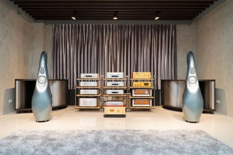 它有种魅力，让你还想听更多VividAudioGiyaG2落地音箱