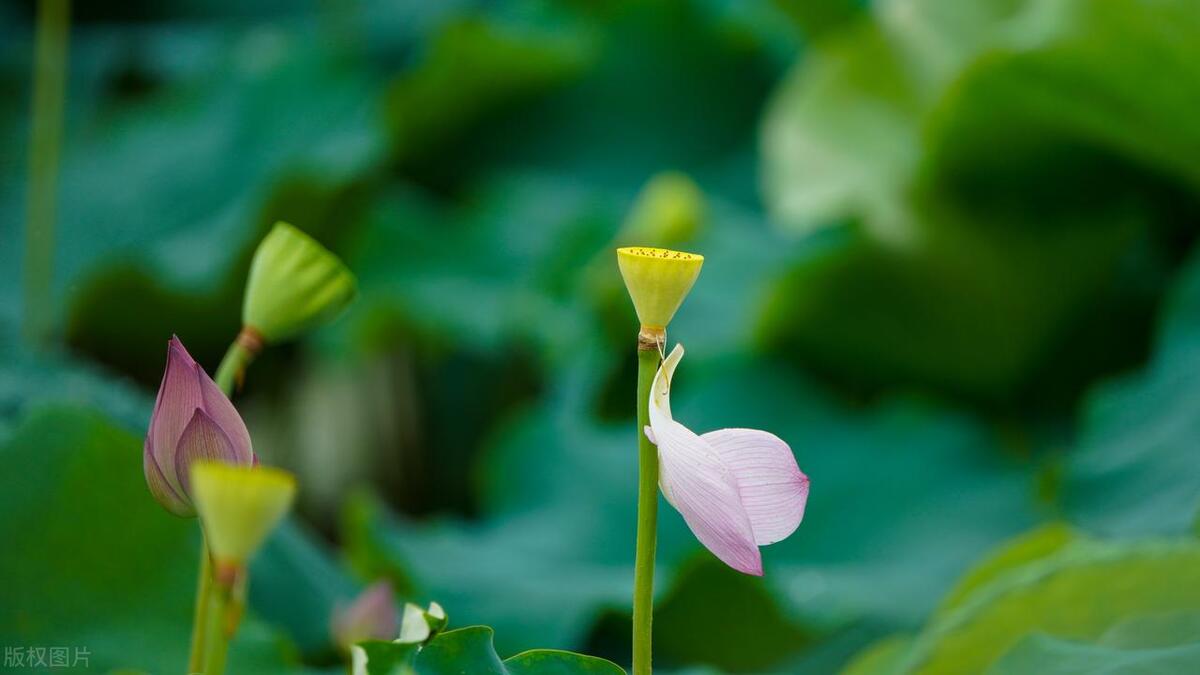 清远漂流一日游,清远清泉湾水上乐园跟团游