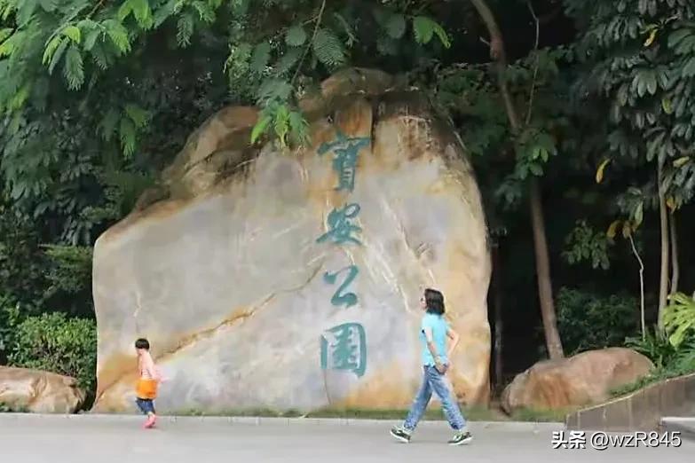 深圳宝安公园一日游攻略,深圳旅行日记十三集
