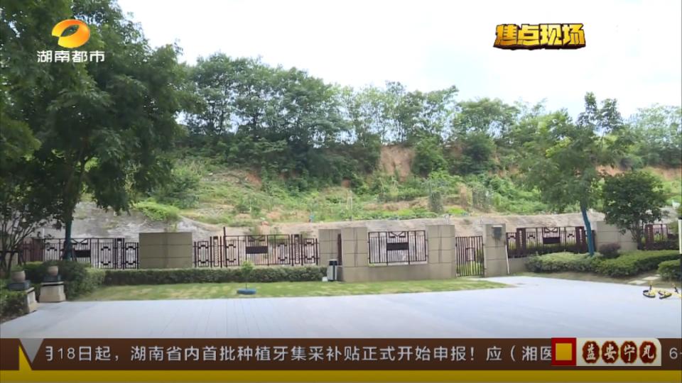 湖南长沙小区发现蛇,湖南长沙一小区发现很多毒蛇