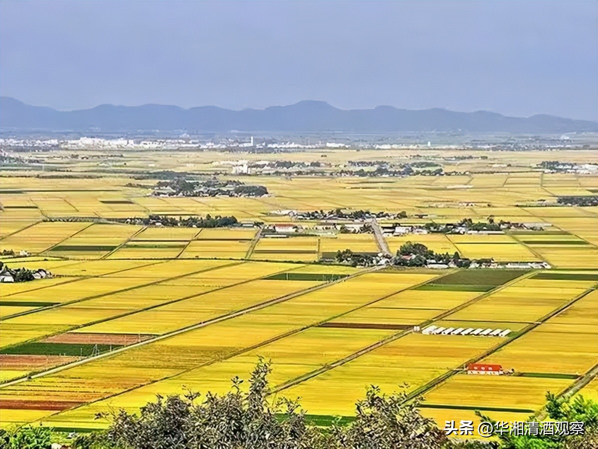 真正的山形地酒——出羽燦燦的诞生纪念