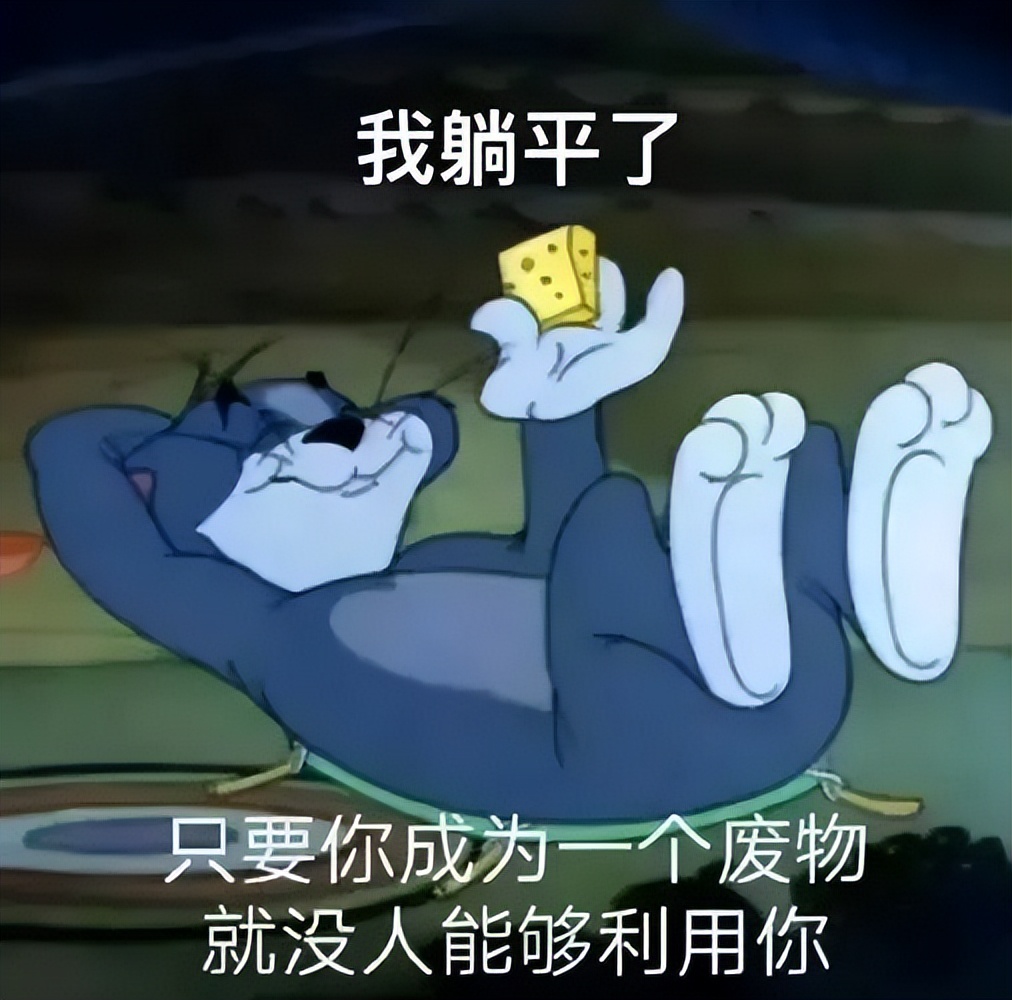 雷军谈年轻人“躺平”,年轻人该躺躺就躺躺