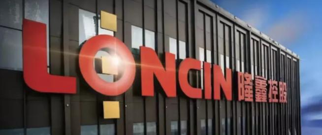 中国500强企业亏损前十名,中国民营企业500强榜单隆鑫