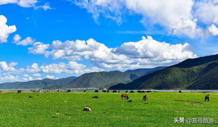 香格里拉攻略必去景点,香格里拉旅游攻略景点大全