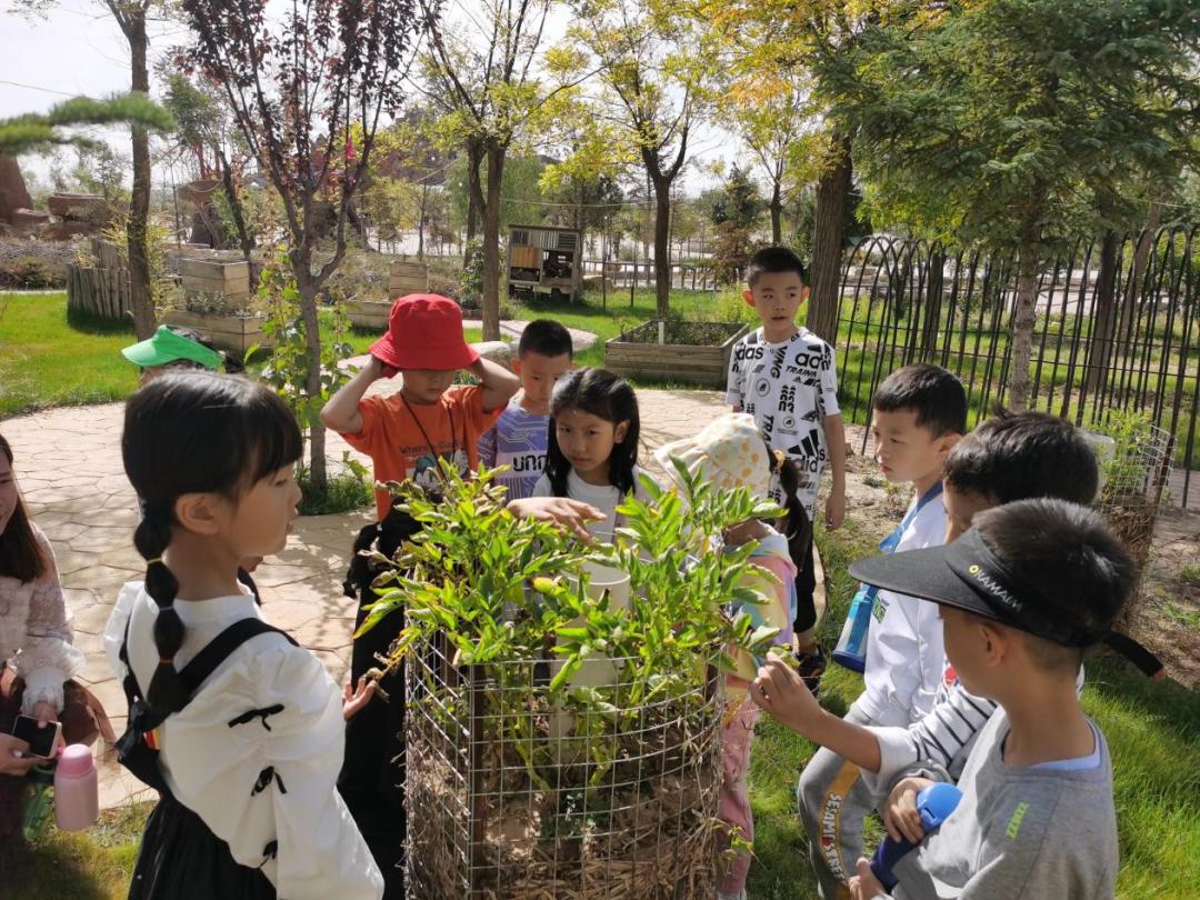 兰州新区十周年献礼|文商旅感恩钜惠，福利来袭！优惠加磅！