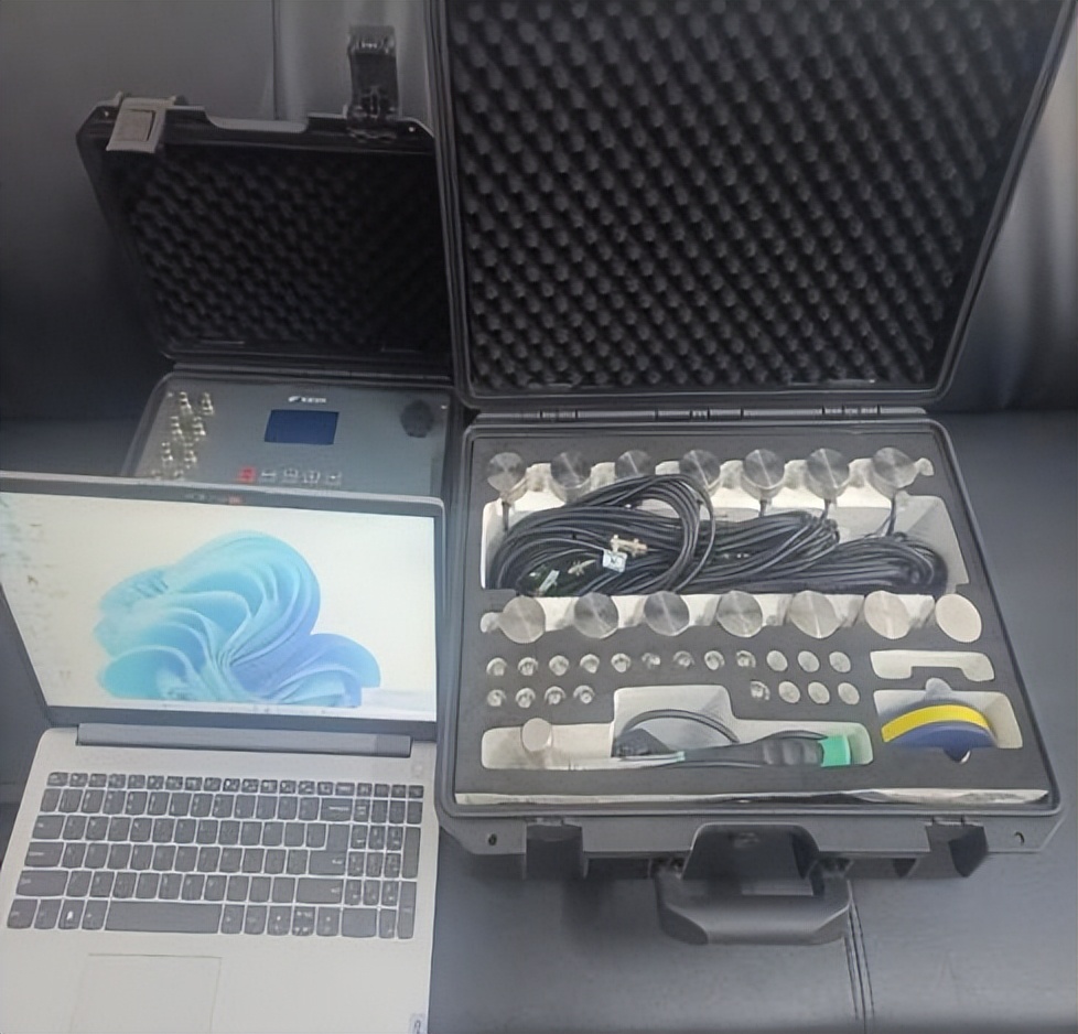 树木诊断中要注意哪些问题,树木健康监测与日常养护