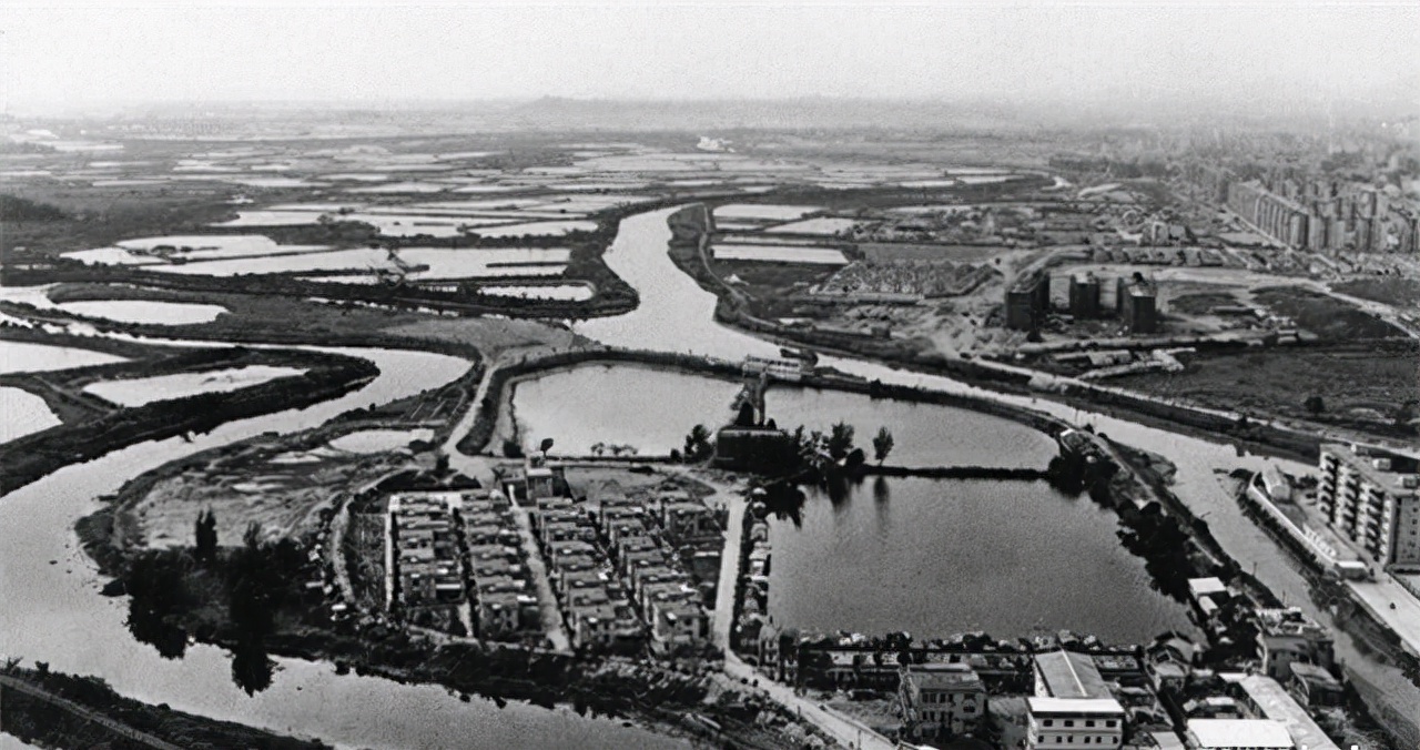 骆锦星买了深圳哪块地,34年前花525万深圳买地