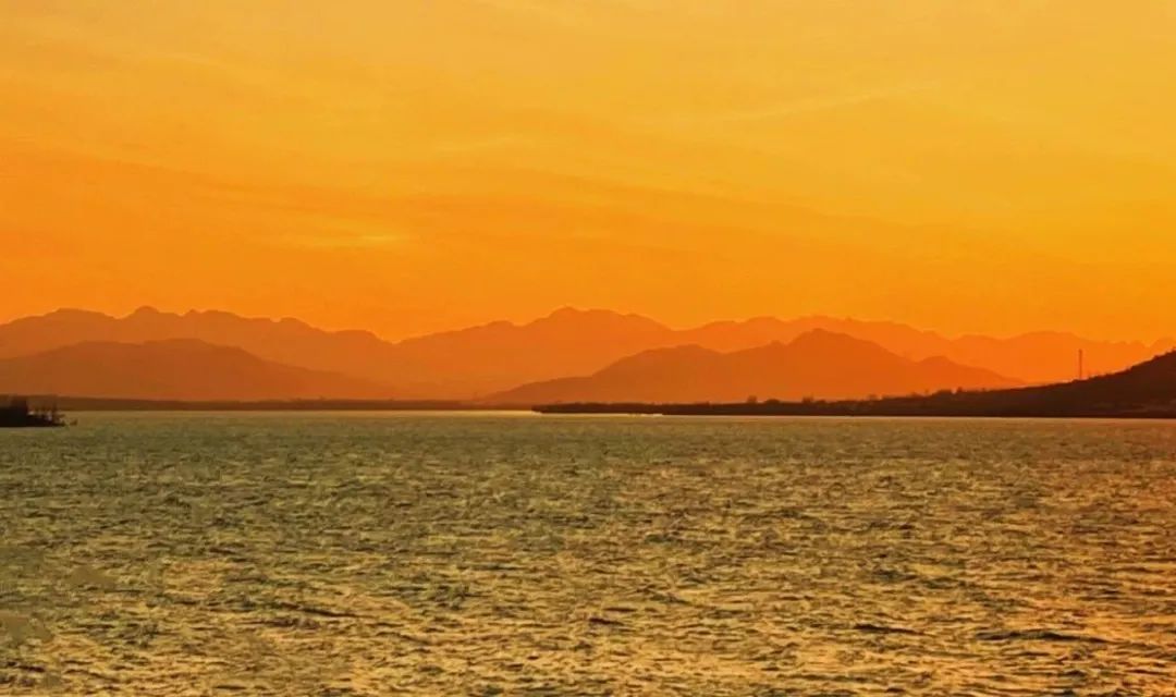 乡村振兴100讲全集,100个经典乡村振兴案例