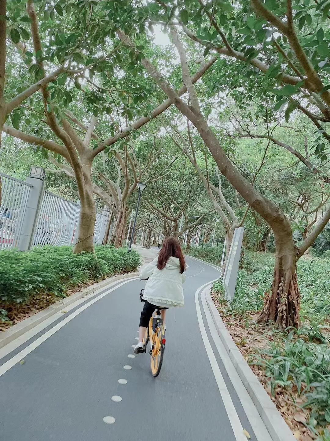 在春暖花开里抓住春天的尾巴,沐浴在春暖花开的春天里
