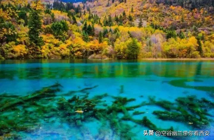 宅在家里挣钱的副业,宅在家也可以找个副业