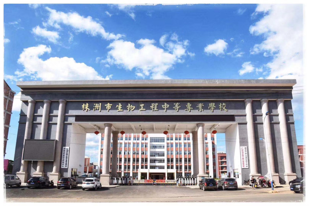 大学专科与中等专科的区别,中等专科和大学专科的区别