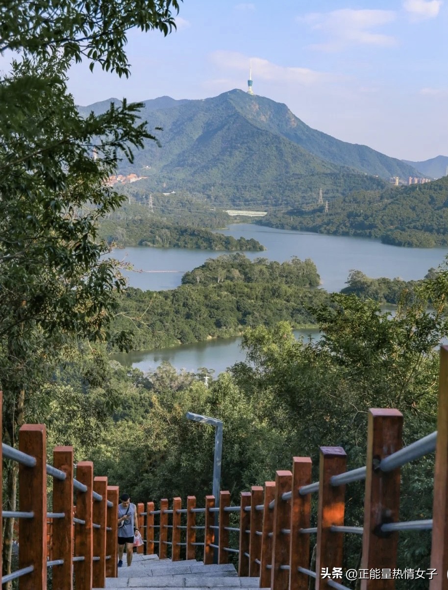 深圳市罗湖淘金山绿道登山口,深圳淘金山绿道海拔高