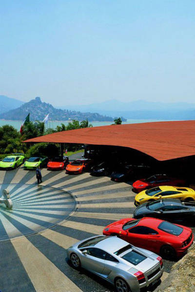 100个难得一见照片，砍伐巨树，运输军舰的巨轮，治疗风湿病的熊