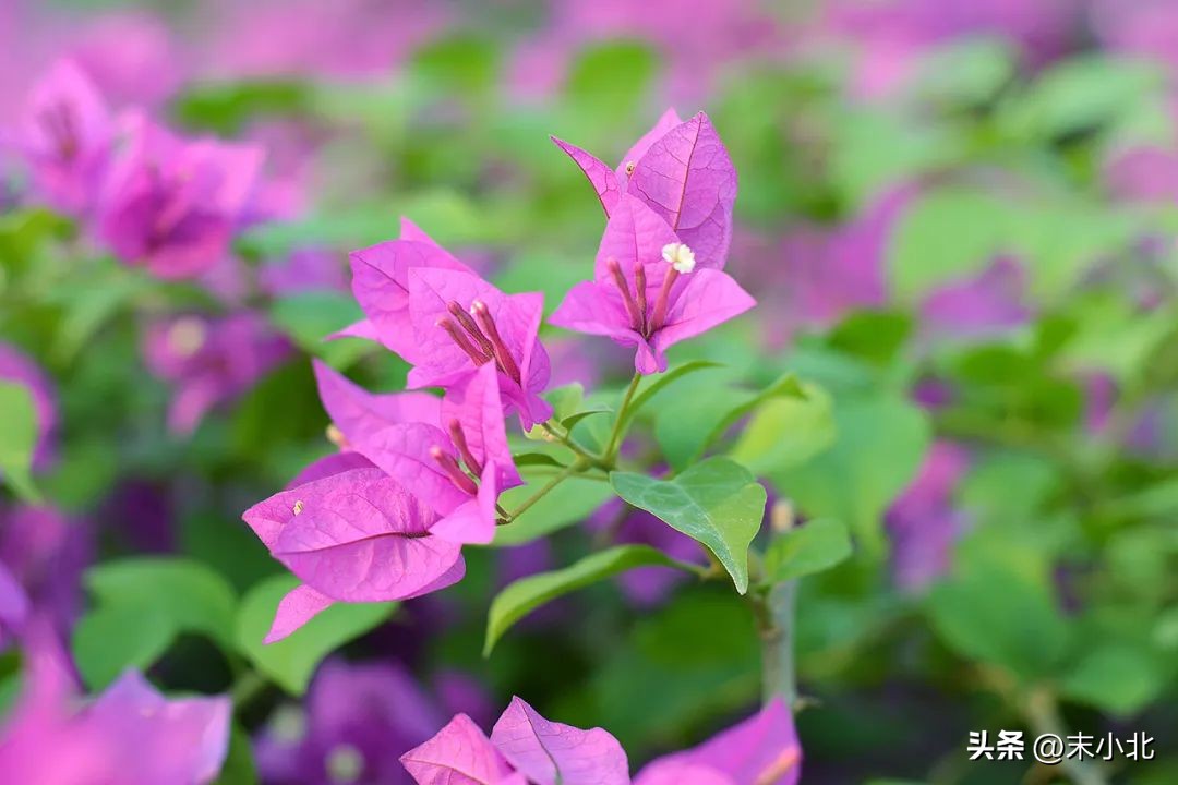 有以下两个特点的男人，不仅不靠谱，也很难给女人幸福