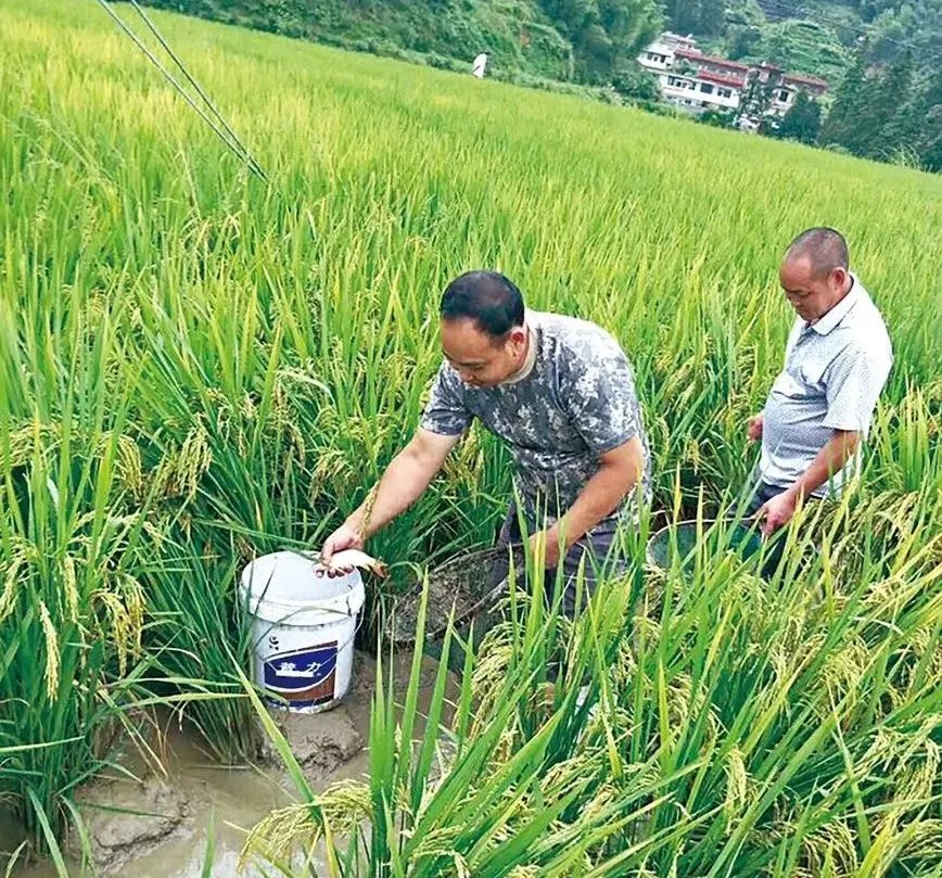 暑假韶关有什么好玩的地方,韶关周边避暑胜地亲子游