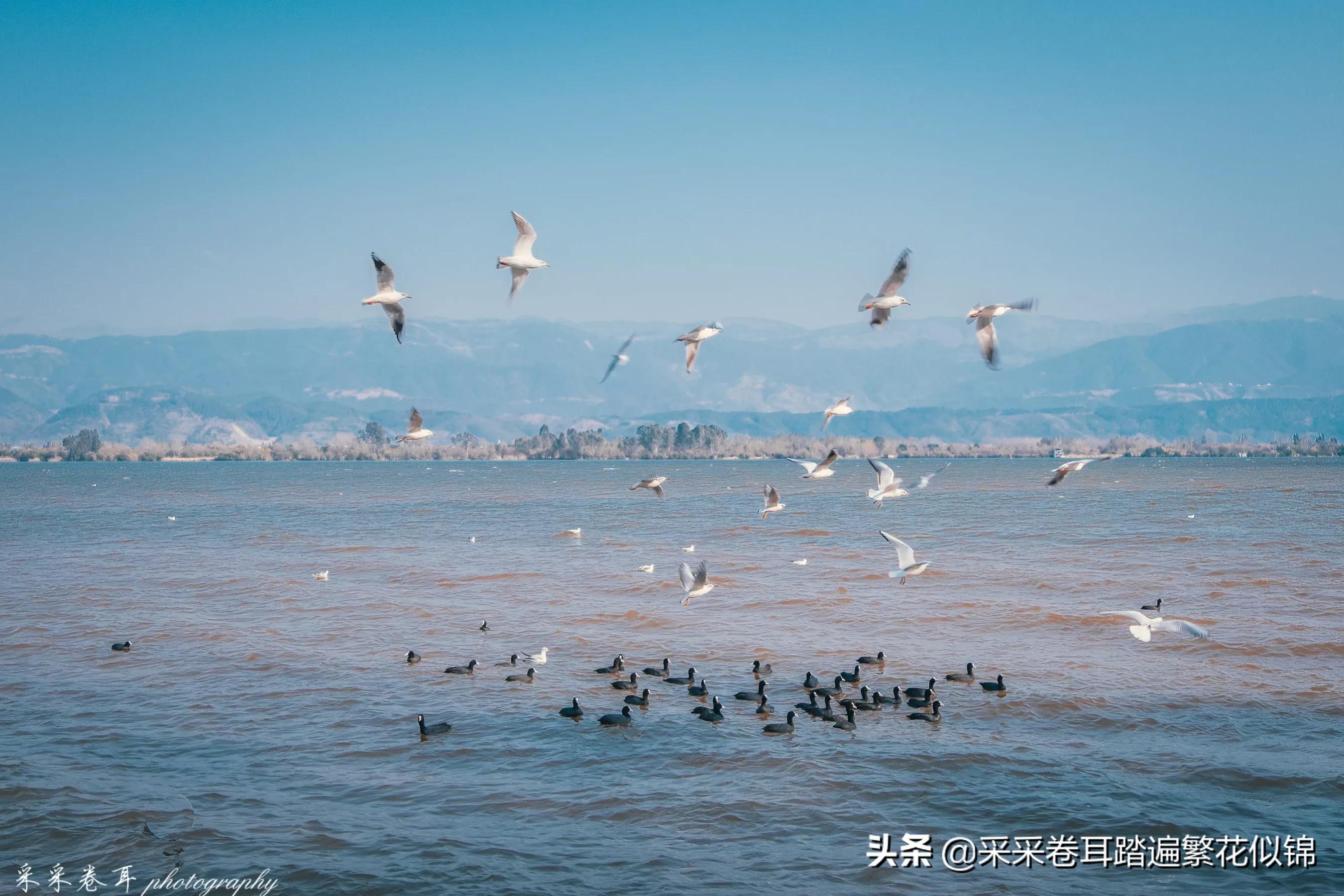 西昌邛海自驾游攻略最佳路线,西昌邛海旅游六要素