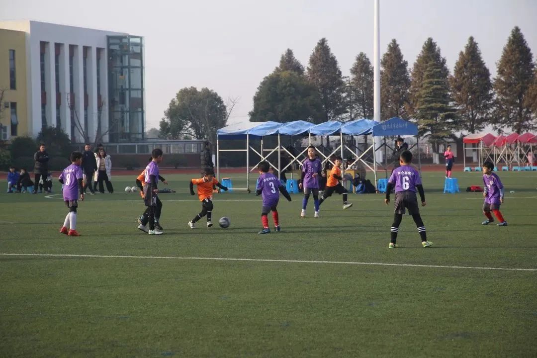 世界杯与我们,看世界杯比赛