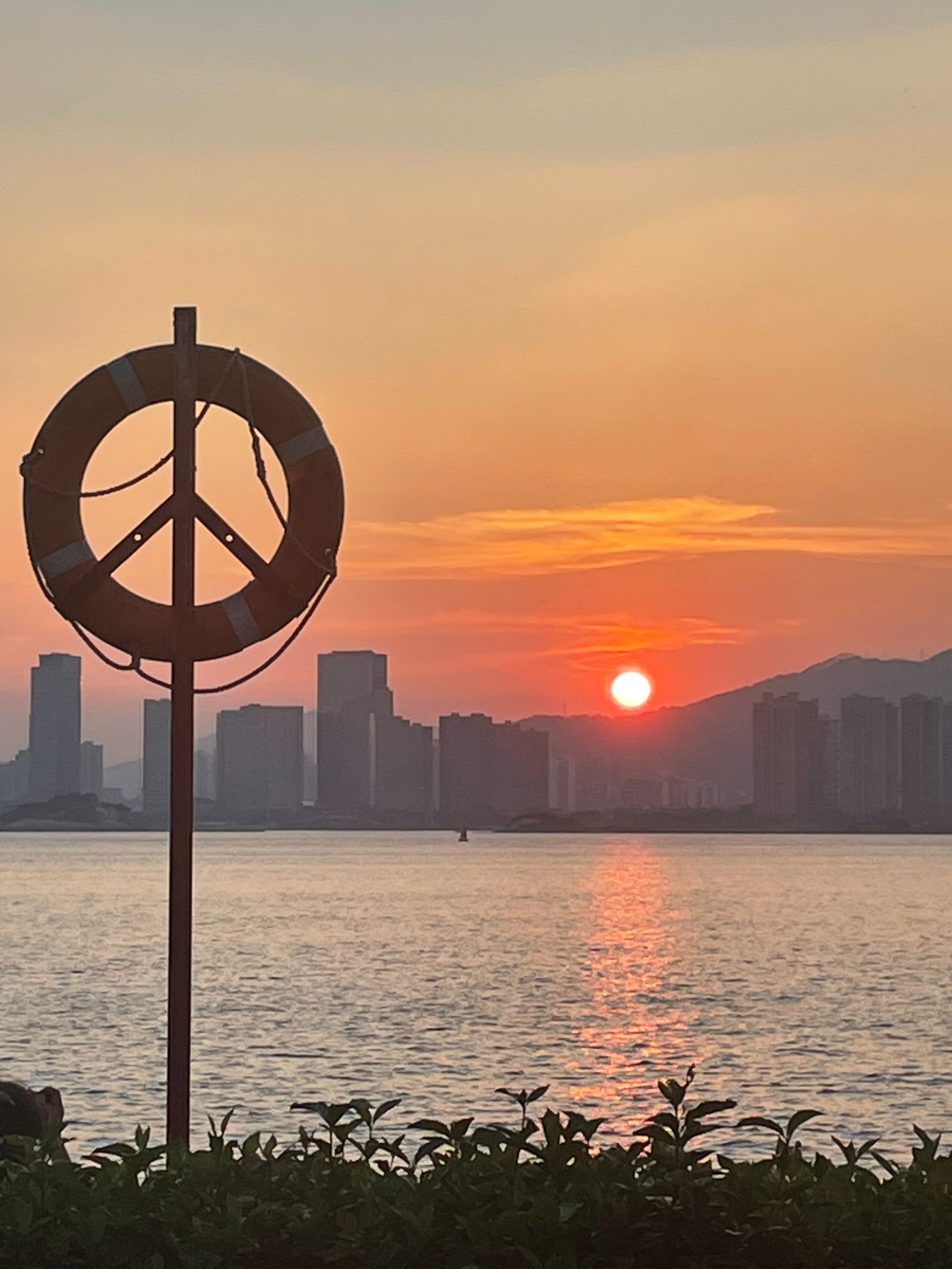 来厦门必打卡的六个景点,厦门十大必去景点园中园