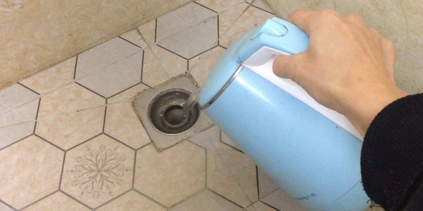 洗手间夏天有小虫子怎么办,夏天卫生间的小黑虫怎么处理