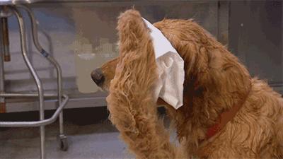 多雨季节防雷电,防火防雷电安全小知识