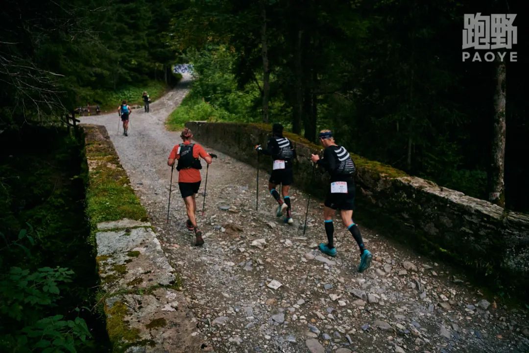 性价比高的入门级越野跑鞋推荐,适合初跑的越野跑鞋有哪些