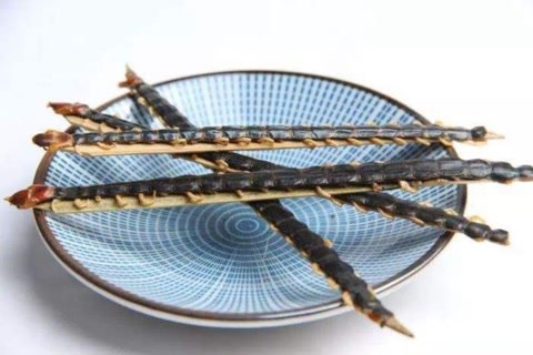 鸡为什么是蝎子的克星,鸡为什么是虫子的天敌呢