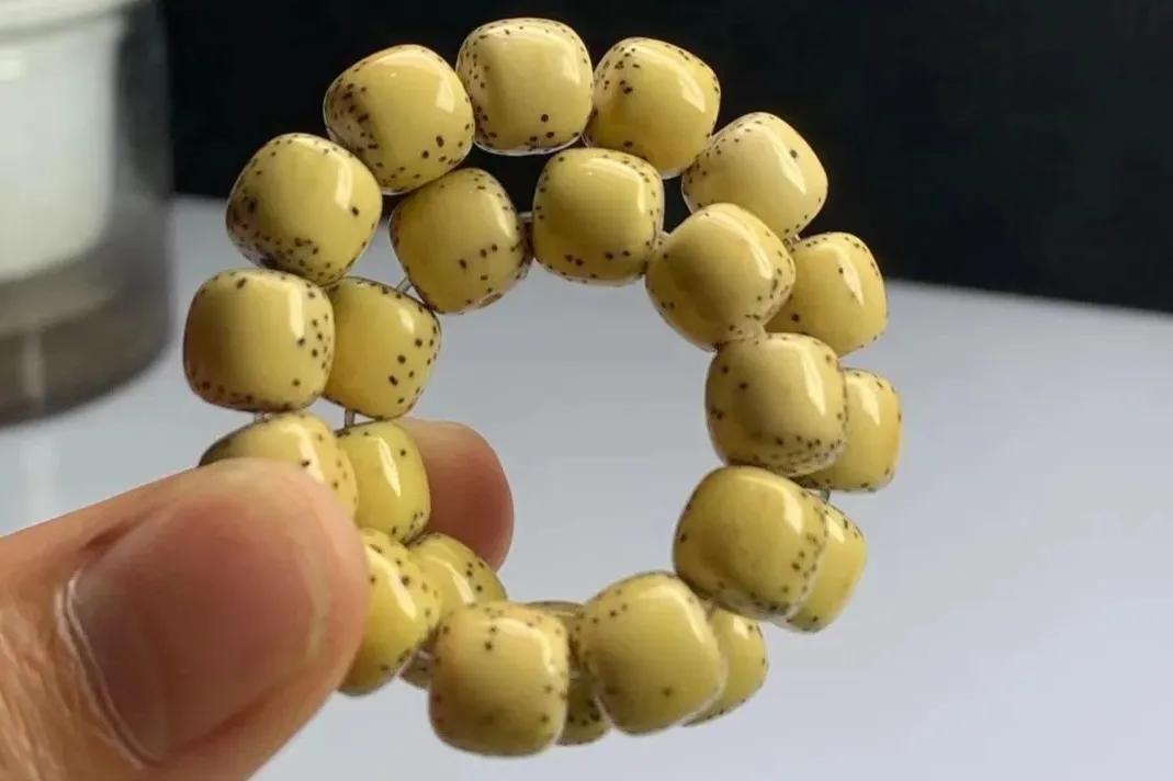 文玩星月菩提手串,文玩常青树有哪些