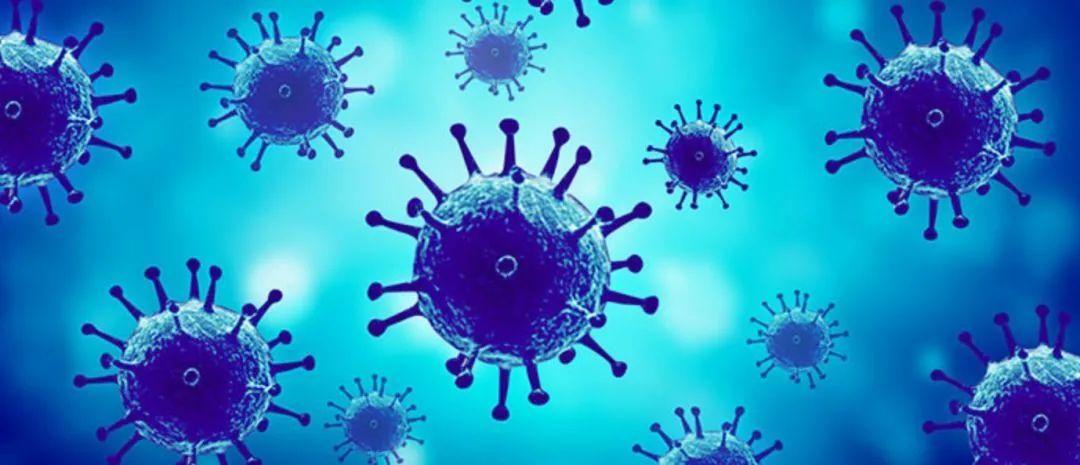 公共厕所马桶到底有多脏,使用公共马桶会感染疾病么