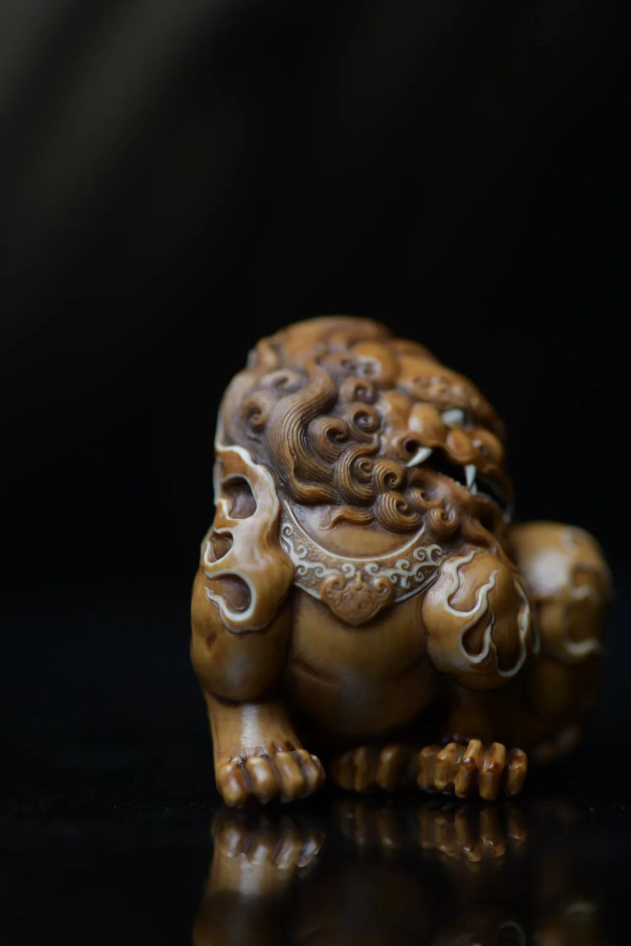 松狮犬的寿命有多长,松狮犬