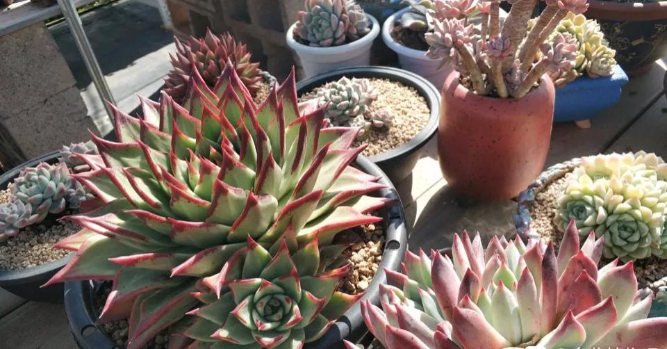 10后最赚钱的行业,盘点那些赚钱最快的职业