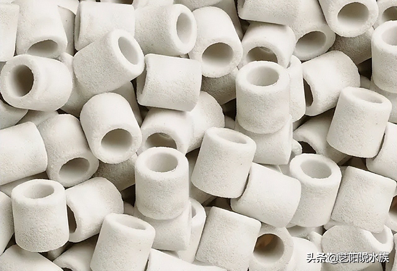 好的硝化细菌应该是怎样的,硝化细菌是怎样发挥作用的