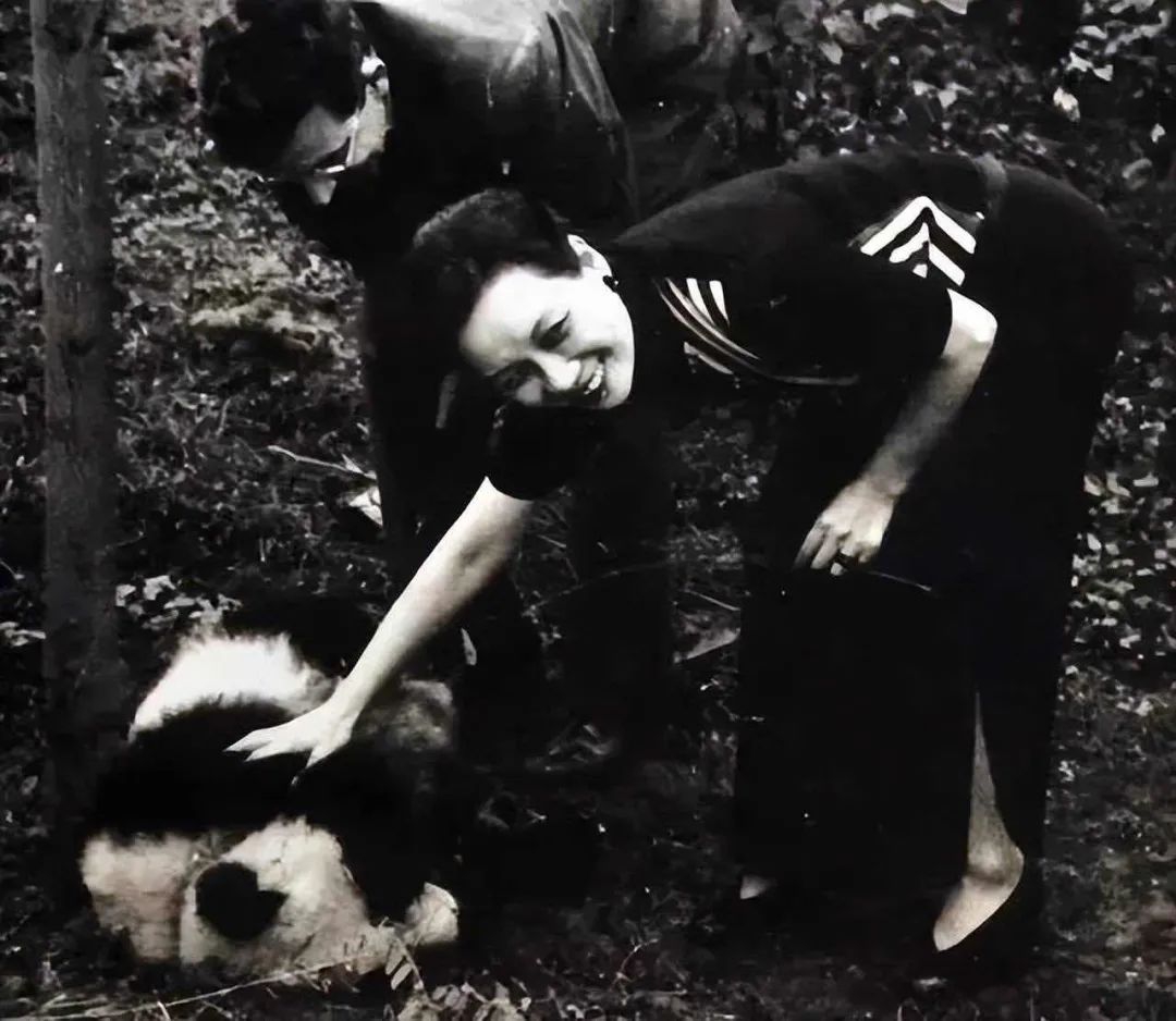 多少人关注丫丫,现在有多少人在关注丫丫