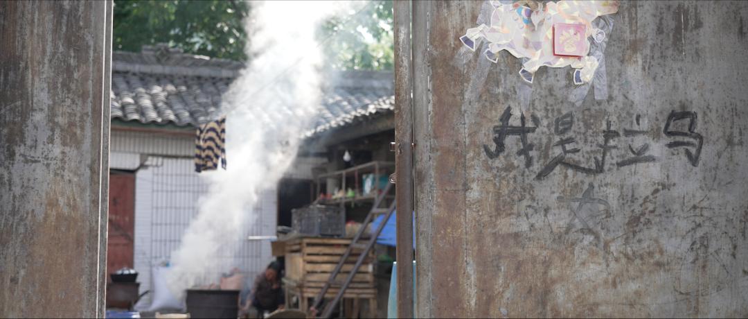 我要把拉马拍成阿甘