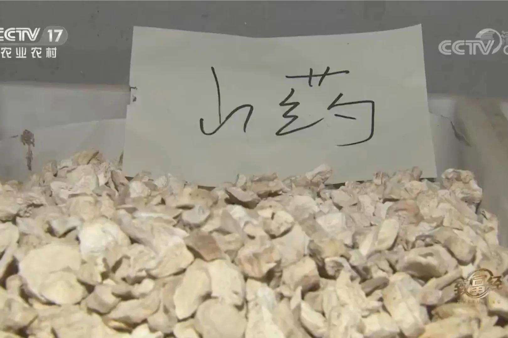 承包荒山致富的例子,美女承包52亩山地