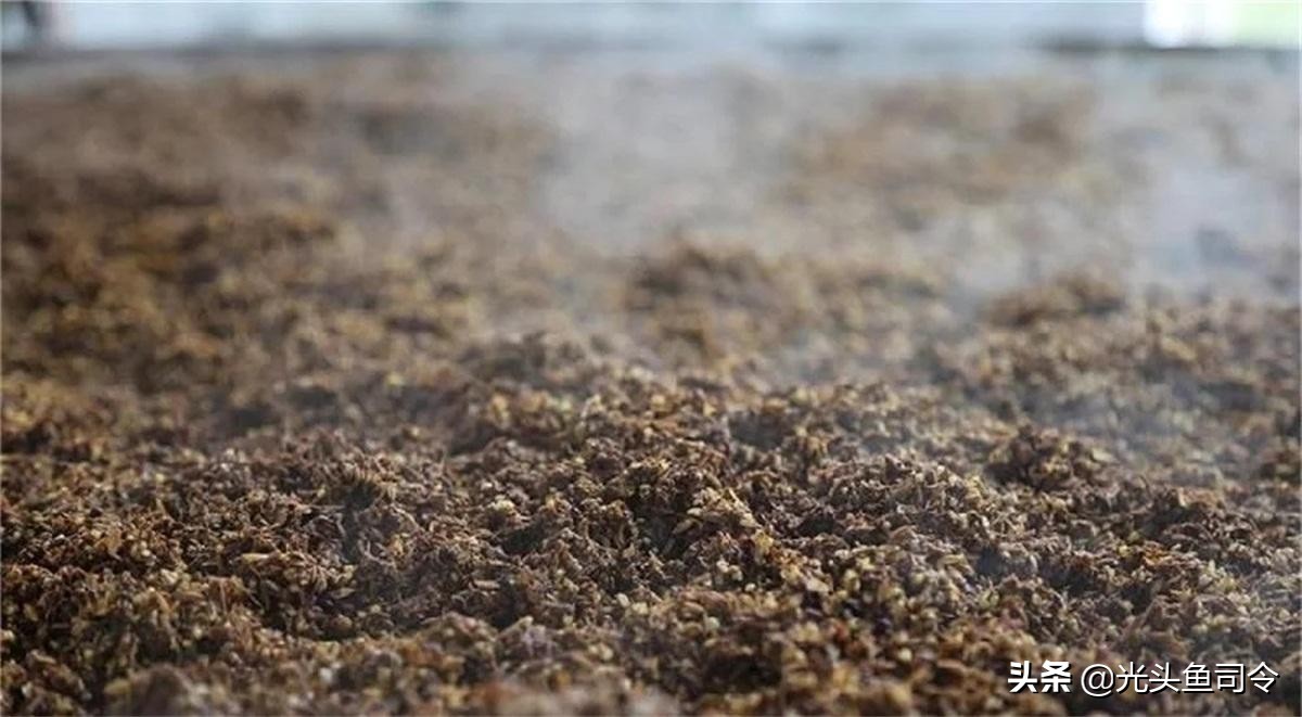 河里钓鲤鱼草鱼窝料配方制作方法,钓鲤鱼草鱼打什么窝料发窝快