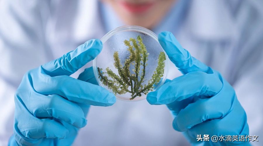 环境保护作文结尾新颖,环境保护的作文范文