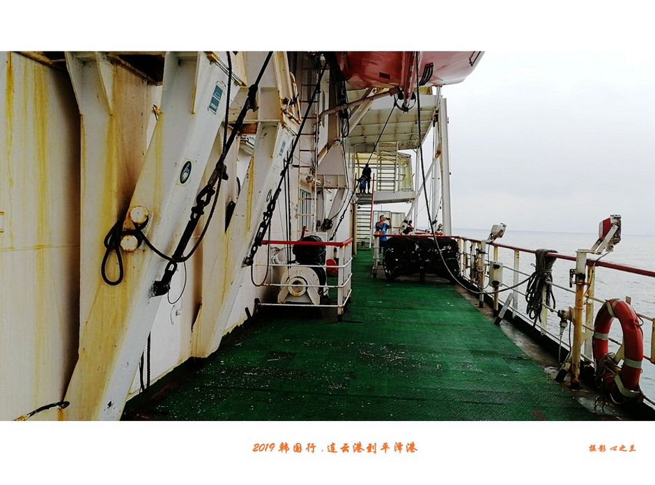 韩国行中国行,韩国行旅行团