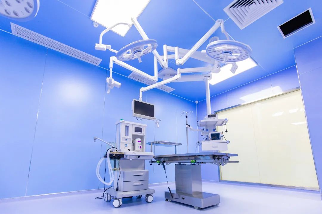 狗狗腰椎骨刺四肢不能站立,狗狗急性椎间盘突出吃什么药