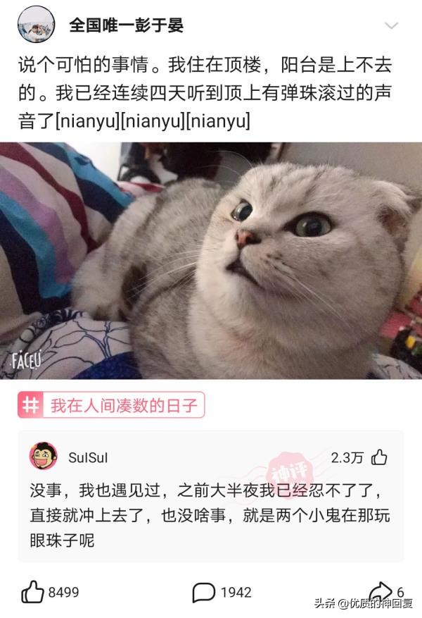 头发洗了一天就很油很痒怎么回事,头发天天洗还是痒得厉害怎么回事