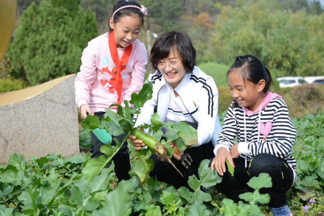 大连这个学校怎么样,大连的学校在山上