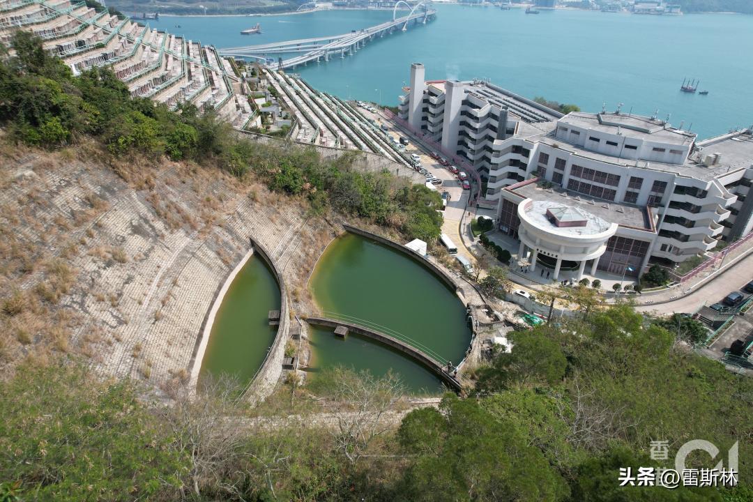 蔡天凤来龙去脉,蔡天凤案来龙去脉分析视频