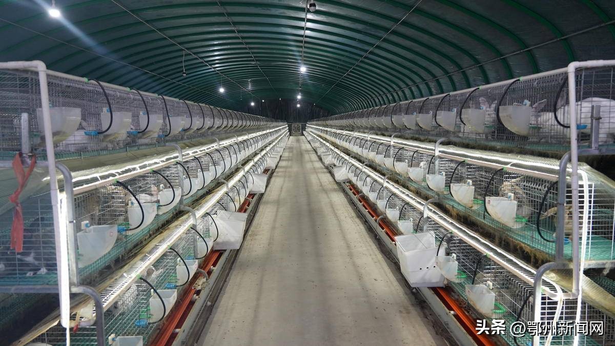 深耕农村沃土激扬梦想,深耕为民沃土赋能乡村振兴