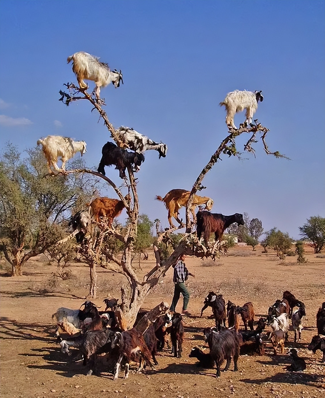 稀世景观,稀世景观震撼又壮观