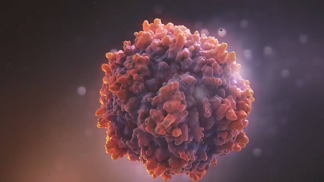 桥本甲状腺炎中医解释,中医对桥本氏甲状腺炎的认识