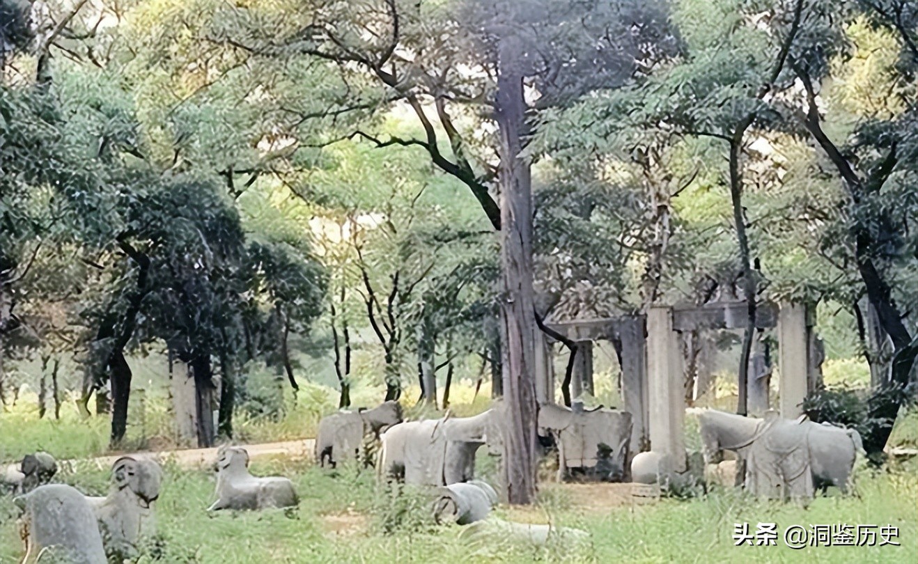 孔子墓葬的传说,孔子墓葬全过程