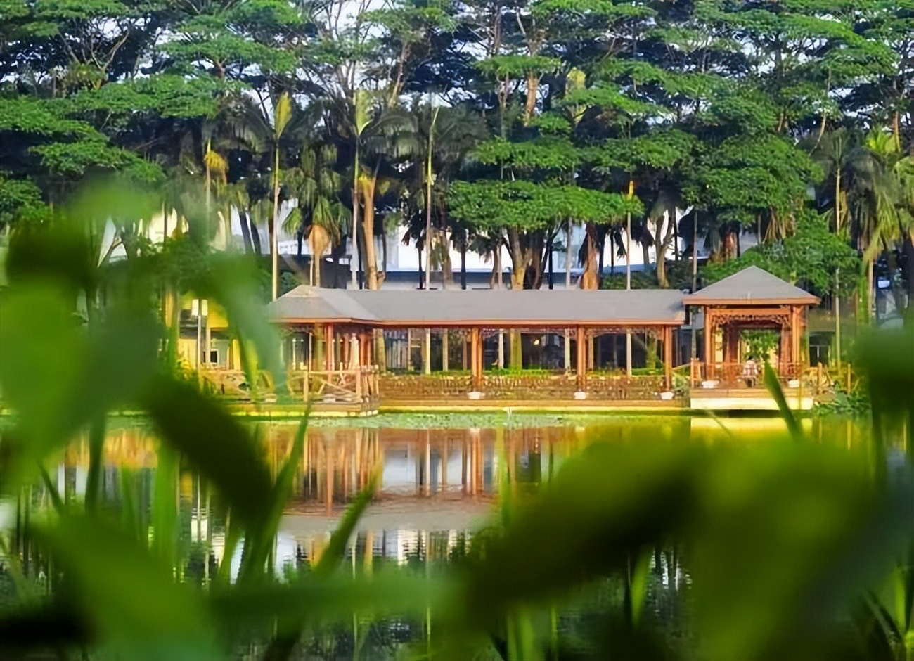 福建高校篇：解读福建农林大学