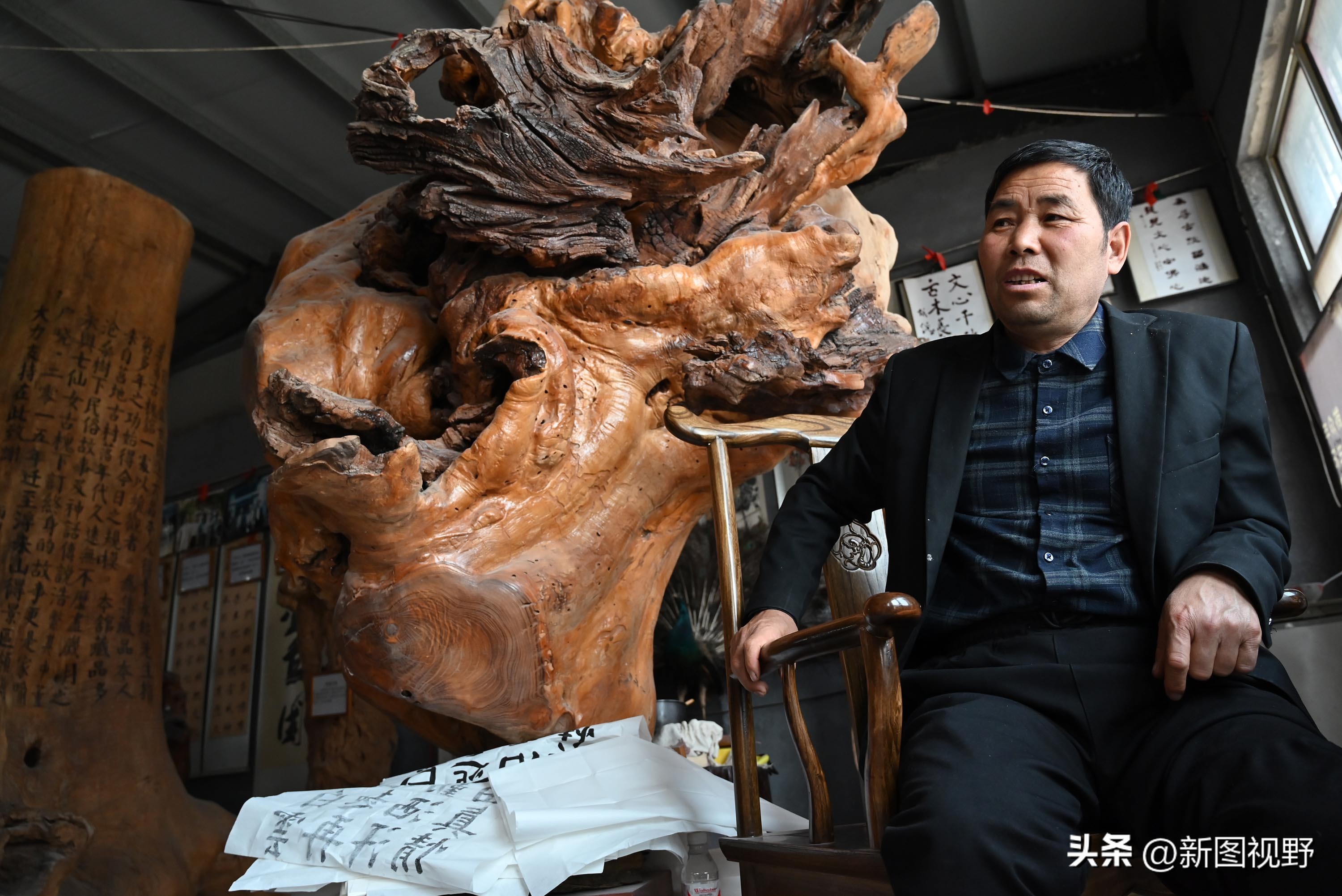 55岁农民，花60万买了一堆古树，每天做着发财梦，睡到自然醒