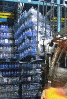 狗子看猫咪很轻松地就上去了，也学着来，结果把猫咪的窝给砸了