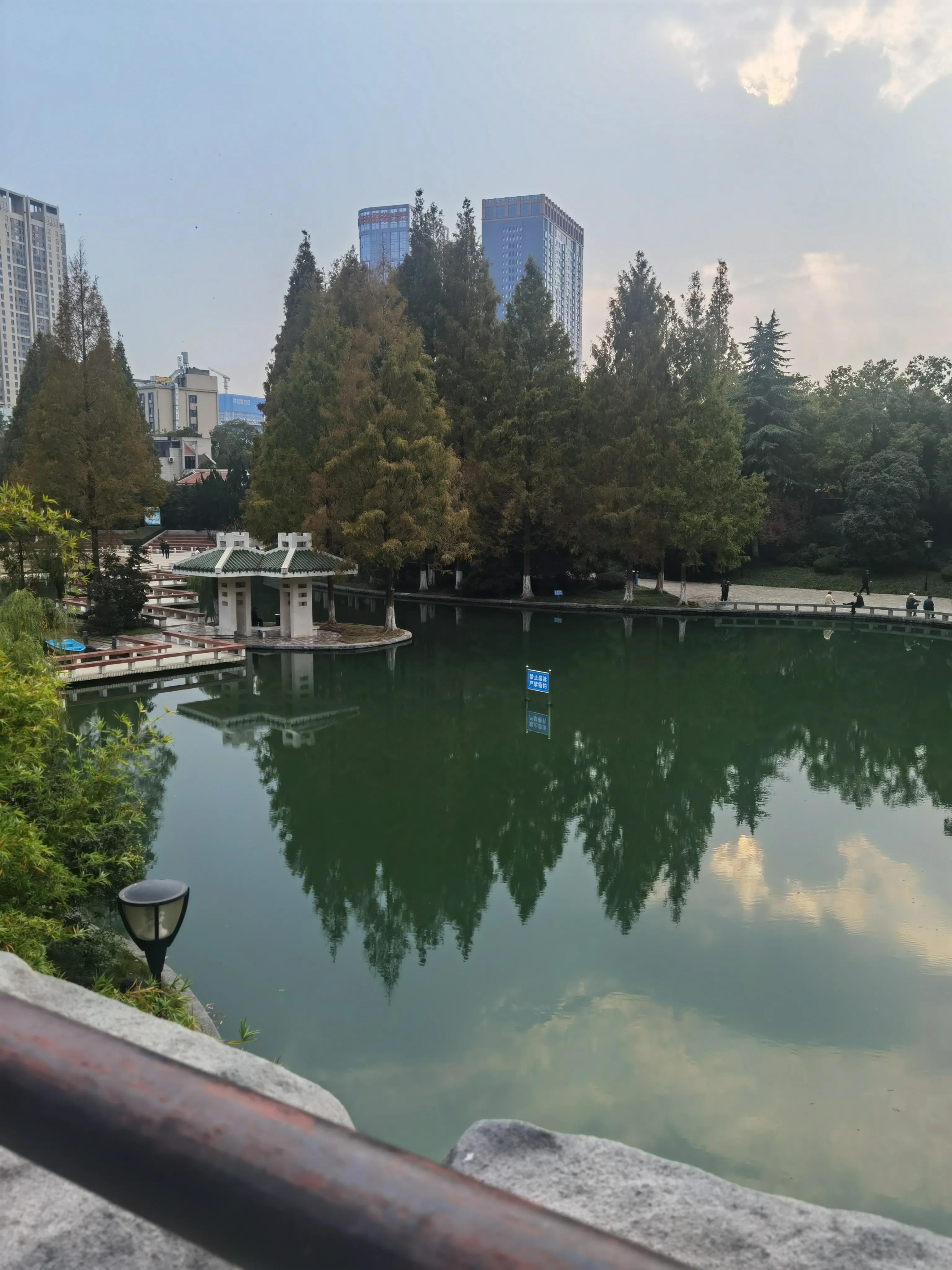 合肥秋季周末悠闲去处,合肥近郊秋天最美的地方