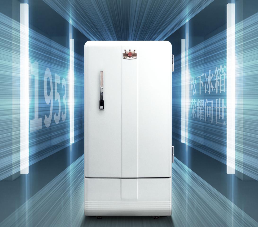 小户型冰箱推荐测评松下,冰箱如何选择松下